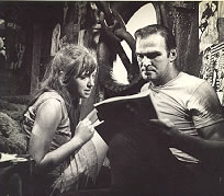 VCwindbaker.jpg (46817 bytes)