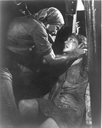 VCwindwild.jpg (26380 bytes)