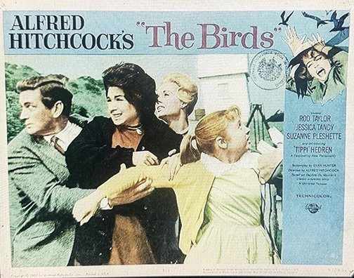 THE BIRDS Poster 1