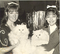 Every year we attended the PET AWARDS.